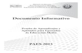 Documento Informativo Paes 2013