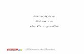 Principios Basicos en Ecografia