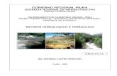 Estudio Hidrologico Hidraulico Carretera Pte Paraje - Montero 26 05 09