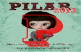 Programa Pilar 2013