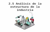 2.5 Analisis de Estructura de La Industria