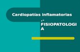 cardiopatias inflamatorias