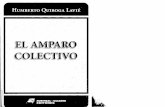 EL AMPARO COLECTIVO - HUMBERTO QUIROGA LAVIÉ