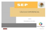 RIFP502 Calculo Diferencial I