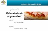 Hidrocoloides de Origen Animal