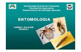 Entomologia- II Unidad. Clase Hemiptera
