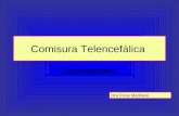 Comisura Telencefalica - Dra. Enoe Medrano (1)