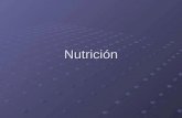 Nutrición dieta-porción-ración-reparto calórico