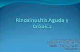 Sinusitis aguda y cronica