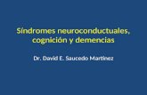 Síndromes neuroconductuales, cognición y demencia 21-ago-2013.ppt