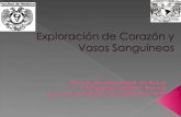 Exploración Cardiovascular ICB_MonroyRovaloMaríadelaLuz.ppt