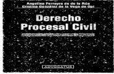 DERECHO PROCESAL CIVIL - ANGELINA FERREYRA DE LA RUA.pdf