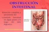 Diapositivas Obstruccion Intestinal