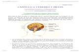 Psicologia - Cerebro Y Mente