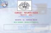 Diapositivas- Mesa Redonda - Neurocisticercosis