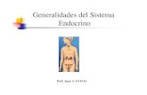 Clases_ Generalidades Sistema Endocrino , Hipotalamo-Hipofisis