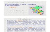 Asbesto, Riesgos y Alternativa (Perú)