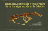 192 Hormigas Cazadoras Colombia