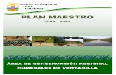 Plan Maestro.pdf