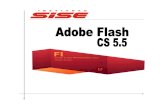 Manual Flash Cs5 - V2012