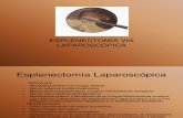 ESPLENECTOMIA LAPAROSCOPICA