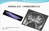 Anomalias cromosomicas.ppt