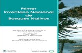 Inventario de Bosque Nativo Nacion