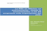 La RSC en México. Mariela Pérez Chavarria.pdf