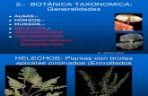 Botanica Taxonomica