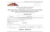 Registro Oficial de Evaluacion 2013