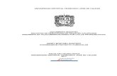 Documento Maestro Telecomunicaciones-1