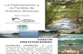 Deforestacion en Quiche - Fundacion Calmecac