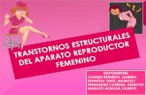 Mujer Trastornos Estructurales Del Aparato Reproductor Femenino