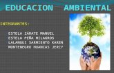 EDUCACION  AMBIENTAL diapositivas