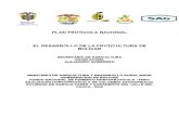 Plan Frut-cola Nacional El Desarrollo de La Fruticultura de Bol