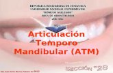 Articulacin Temporo Mandibular (ATM).ppt