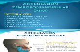 Articulacion Temporomandibular Diapositiva