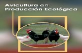 Avicultura ecologica