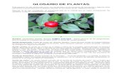 30 02 Glosario de Plantas Www.gftaognosticaespiritual.org