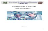 Guia de Practicas de Biologia Celular y Molecular 2013 I A