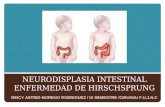 Neurodisplasia Intestinal Enfermedad de Hirschsprung 2 (1)