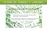 ARBOLES LATIFOLIADOS 1
