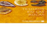 Geología -Tesoros en las rocas -Rocas-Fósiles-Minerales (Instituto Geológico y Minero de España.2009)