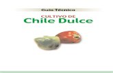 Guia Chile(1)