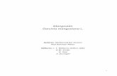 Monografía del Mangostán