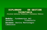 DATA-FUNDAMENTOS DE DERECHO TRIBUTARIO-RENOVADO.ppt