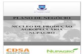 Plano Negocio Nupagro 2012