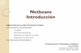 Practica00 - Netbeans Clase Introductoria.pdf