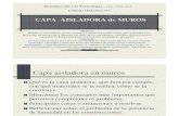 Int. Tecnolo. 2012 - Guia de Clase CAPA AISLADORA
