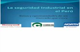 La seguridad Industrial en el Peru.pdf